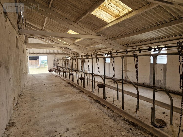 Bien agricole a vendre Villeloin-Coulangé 37460 Indre-et-Loire 149 m2  249600 euros