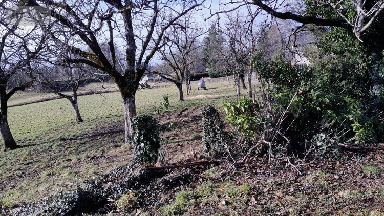 propriete a vendre Neuville 19380 Corrèze 65 m2 3 pièces 124972 euros