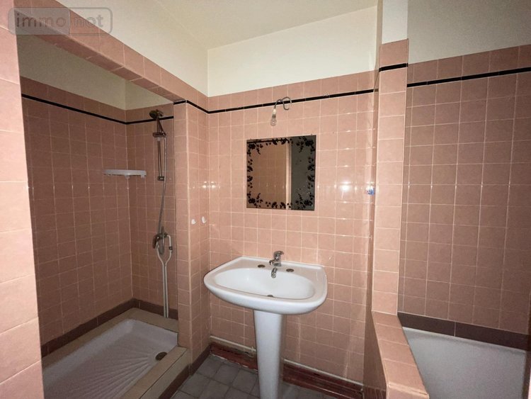 Immeuble a vendre Aix-Villemaur-Pâlis 10160 Aube 370 m2  129000 euros