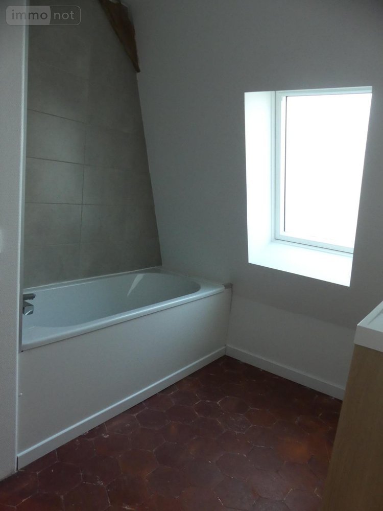 Location appartement Nemours 77140 Seine-et-Marne 45 m2 3 pièces 740 euros