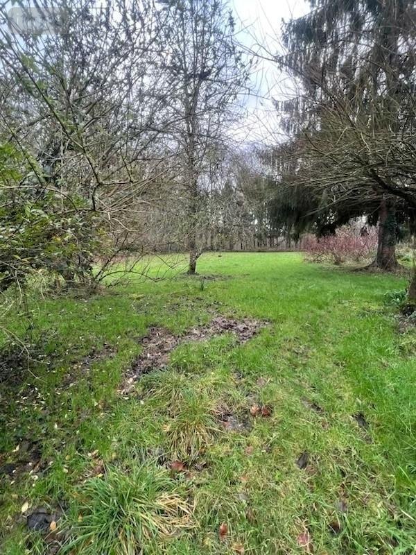 Maison a vendre Pleudihen-sur-Rance 22690 Côtes-d'Armor 352 m2 6 pièces 569200 euros