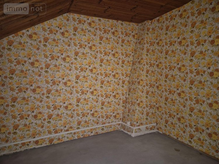 Maison a vendre Saints en Puisaye 89520 Yonne 115 m2 5 pièces 43600 euros