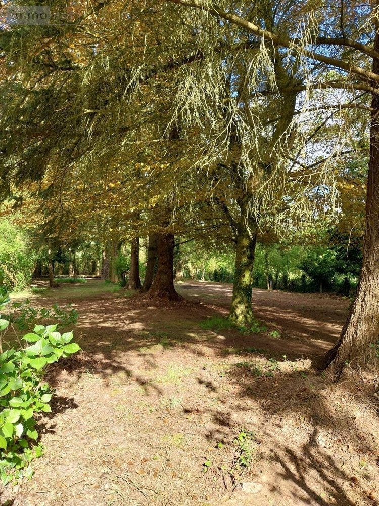 propriete a vendre Rostrenen 22110 Côtes-d'Armor 170 m2 9 pièces 293180 euros