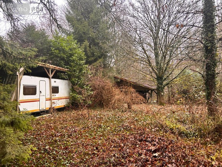 Terrains de loisirs bois etangs a vendre Villedieu 21330 Côte-d'Or 1266 m2  16200 euros