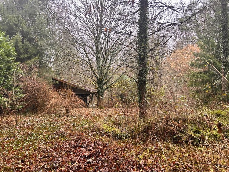 Terrains de loisirs bois etangs a vendre Villedieu 21330 Côte-d'Or 1266 m2  16200 euros