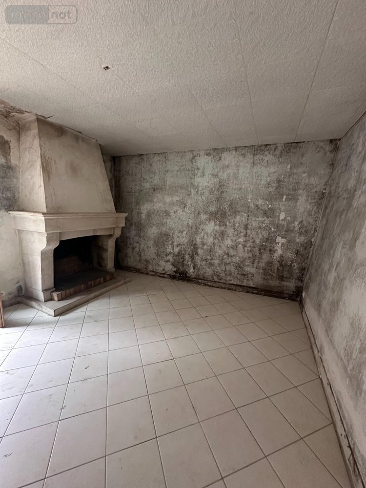 Maison a vendre Charentenay 89580 Yonne 60 m2 3 pièces 46500 euros