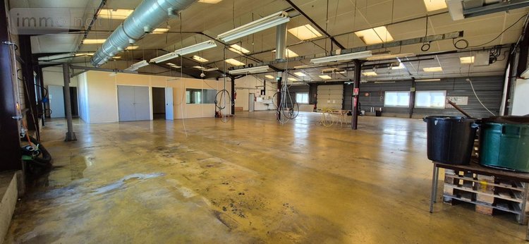 Fonds et murs commerciaux a vendre Cherré-Au 72400 Sarthe 135 m2  262600 euros