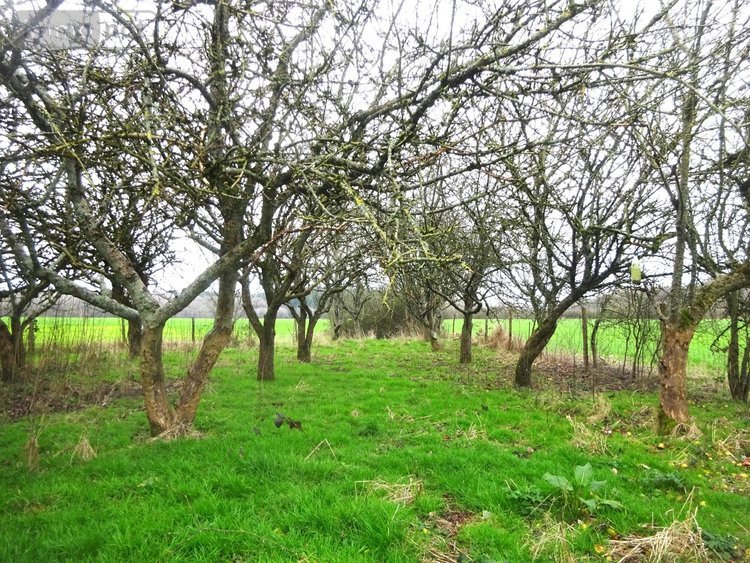 Maison a vendre Brunelles 28400 Eure-et-Loir 86 m2 3 pièces 63600 euros