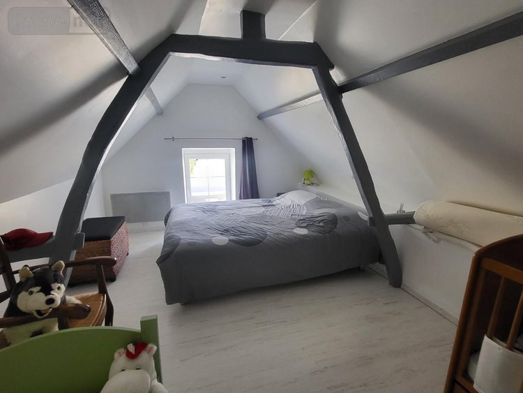 Maison a vendre Avoine 37420 Indre-et-Loire 134 m2 5 pièces 260000 euros