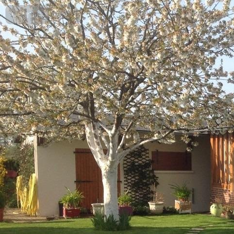 Maison a vendre Plainville 27300 Eure 70 m2 5 pièces 249900 euros