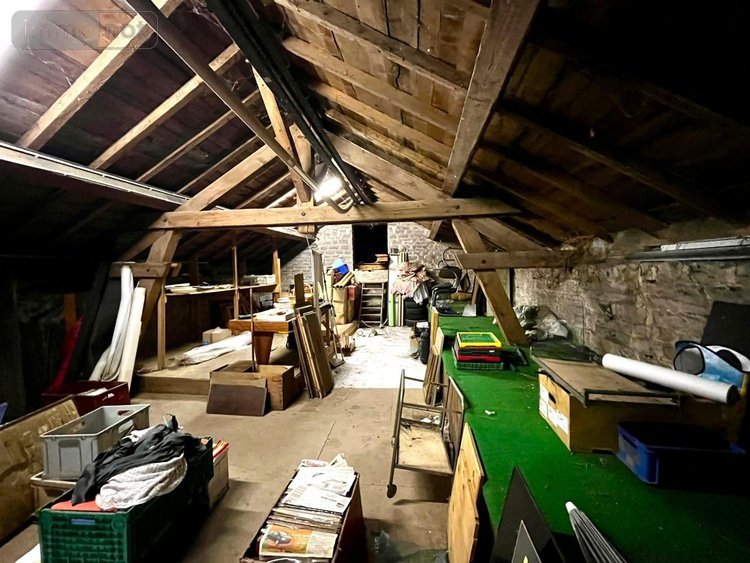 Immeuble a vendre Langres 52200 Haute-Marne 458 m2  250000 euros
