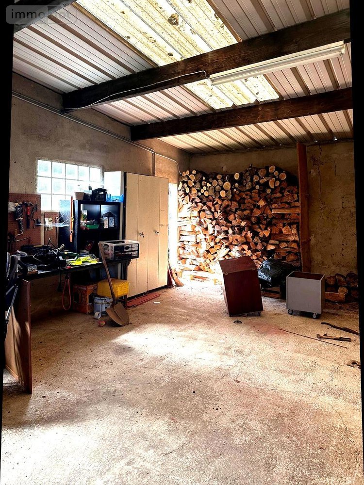 Maison a vendre Trucy-sur-Yonne 89460 Yonne 98 m2 3 pièces 100000 euros