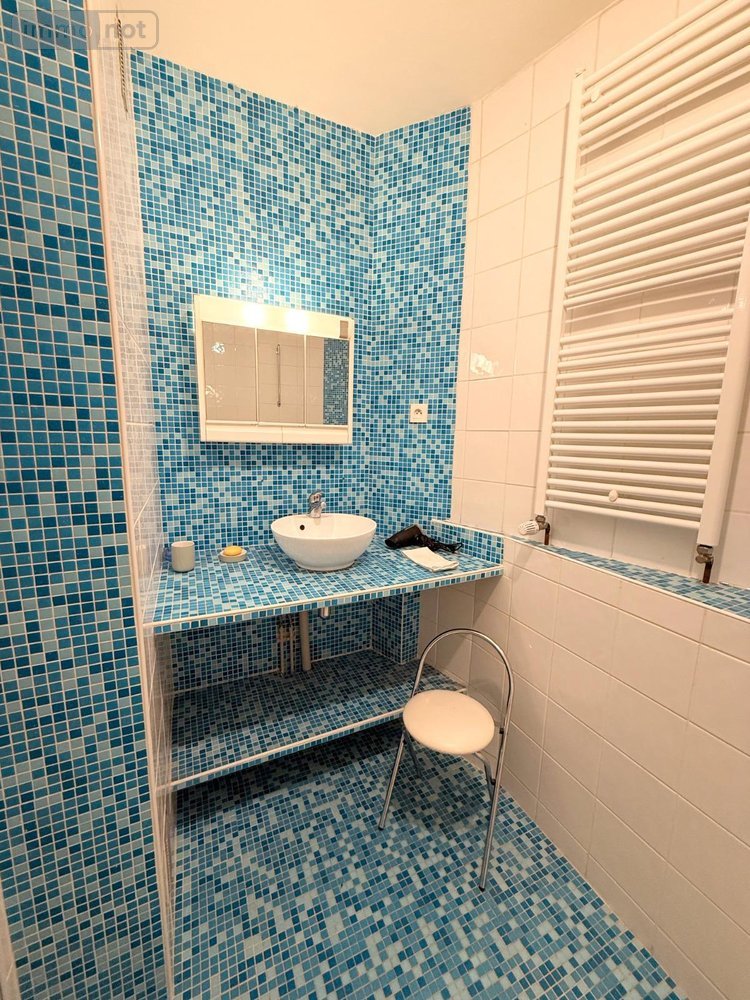 Appartement a vendre Blois 41000 Loir-et-Cher 101 m2 4 pièces 214225 euros