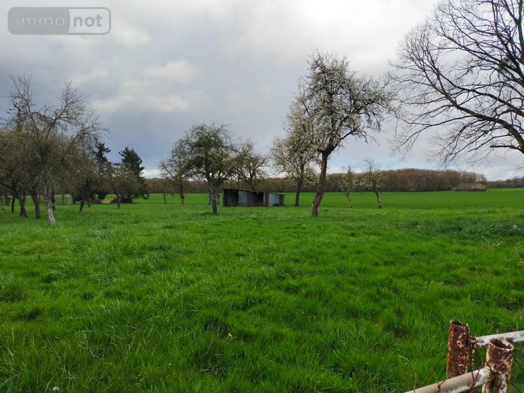 Maison a vendre Villeneuve-les-Genêts 89350 Yonne 92 m2 5 pièces 94680 euros