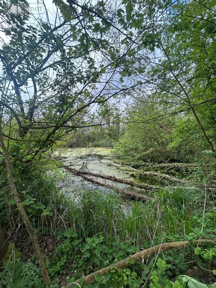 propriete a vendre Péronne 80200 Somme 250 m2 8 pièces 416000 euros