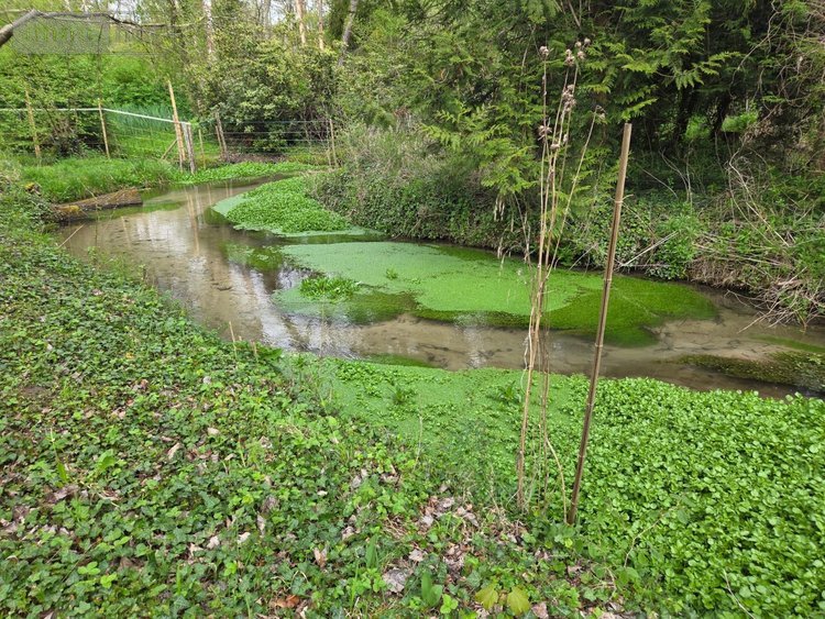 Maison a vendre Abbéville-la-Rivière 91150 Essonne 213 m2 8 pièces