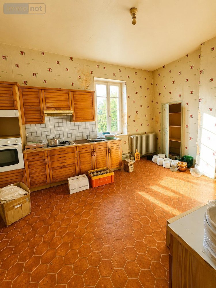 Maison a vendre Coulanges-la-Vineuse 89580 Yonne 255 m2 16 pièces 335000 euros