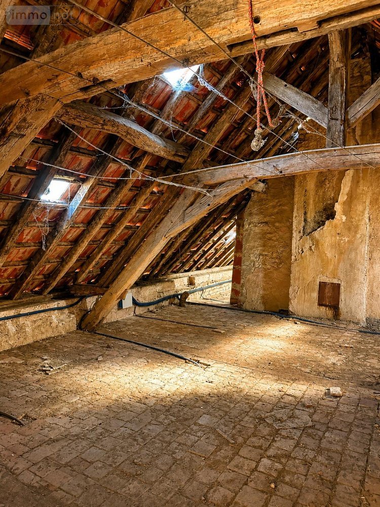 Maison a vendre Coulanges-la-Vineuse 89580 Yonne 255 m2 16 pièces 335000 euros