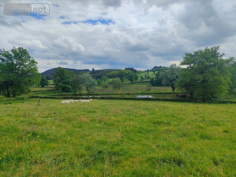 propriete a vendre Beaubery 71220 Saône-et-Loire 255 m2  445000 euros
