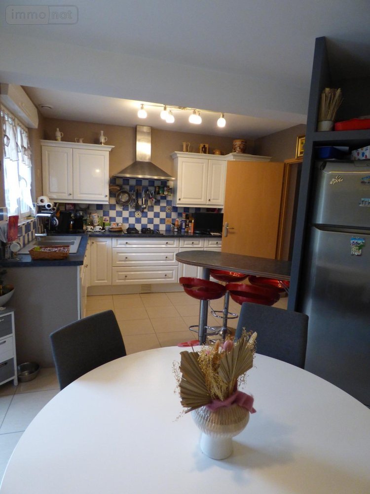 propriete a vendre Lallaing 59167 Nord 300 m2 9 pièces 660000 euros