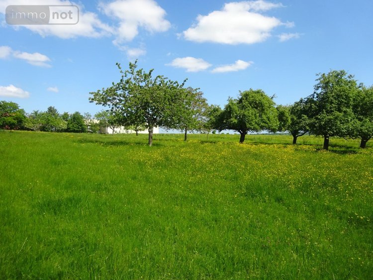 Maison a vendre Saint-Hilaire-sur-Erre 61340 Orne 67 m2 4 pièces 116600 euros
