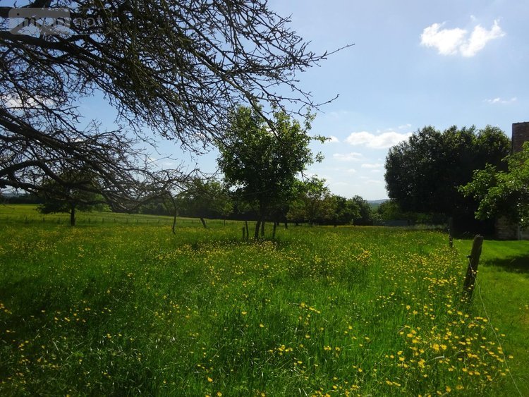 Maison a vendre Saint-Hilaire-sur-Erre 61340 Orne 67 m2 4 pièces 116600 euros