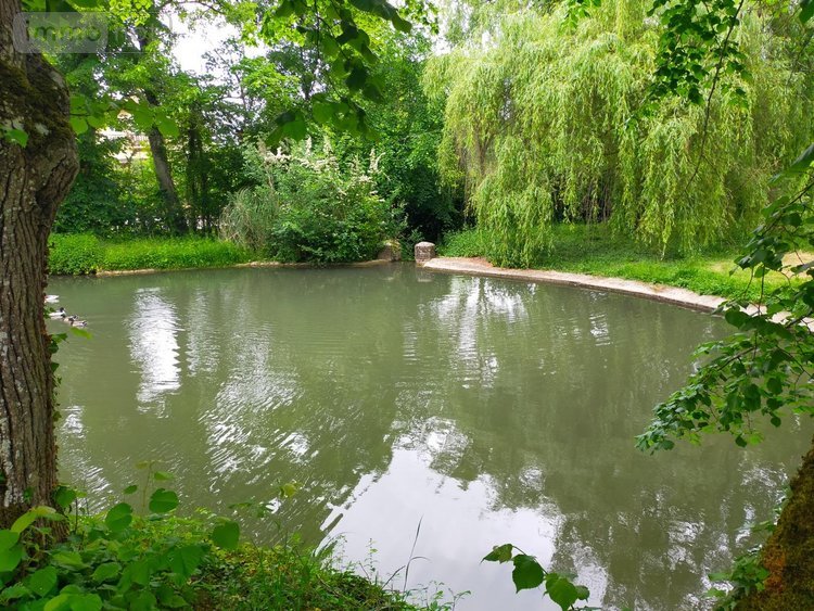 propriete a vendre Charny-Orée-de-Puisaye 89120 Yonne 300 m2 9 pièces 850000 euros