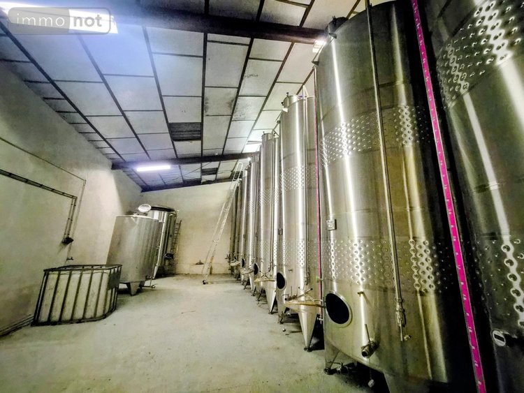 propriete viticole a vendre 83 Var 775 m2  10045000 euros