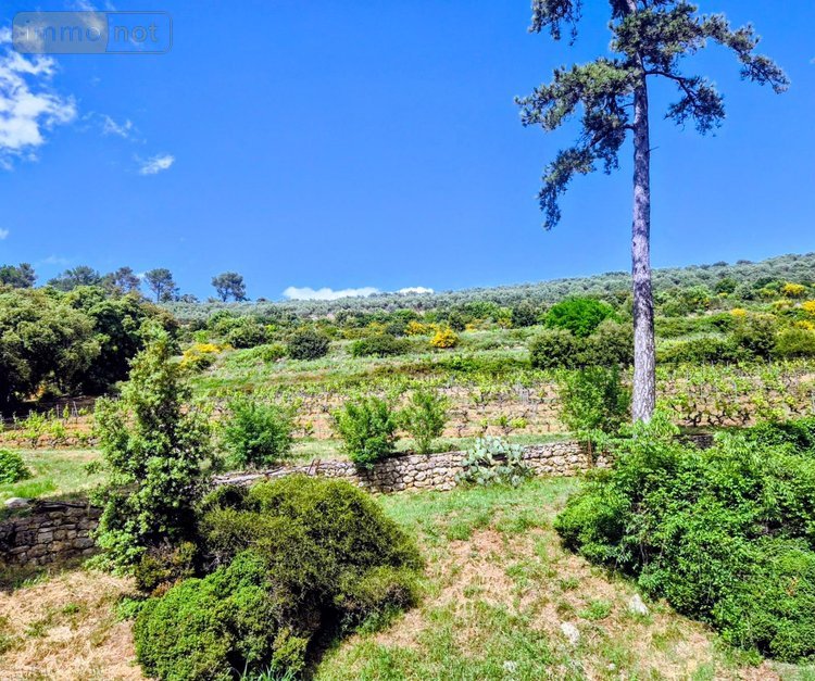 propriete viticole a vendre 83 Var 775 m2  10045000 euros