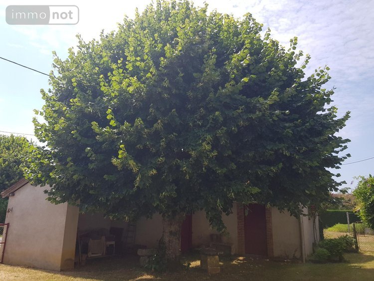 Maison a vendre Saint-Christophe-en-Bazelle 36210 Indre 102 m2 4 pièces 90950 euros