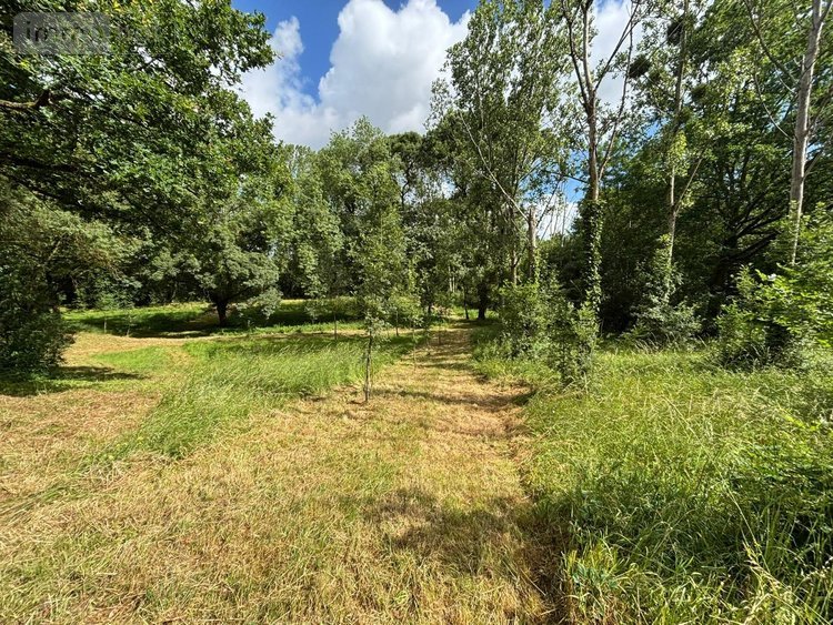 Maison a vendre Rochefort-sur-Loire 49190 Maine-et-Loire 93 m2 4 pièces 309750 euros