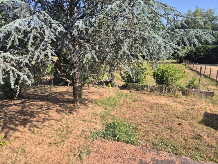 Maison a vendre Saint-Amand-en-Puisaye 58310 Nièvre 68 m2 4 pièces 84800 euros