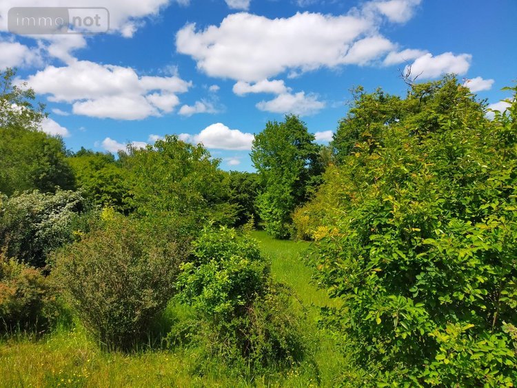 Maison a vendre Parly 89240 Yonne 129 m2 7 pièces 239720 euros