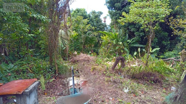 Maison a vendre Saint-Benoît 97470 Réunion 60 m2 3 pièces 108000 euros