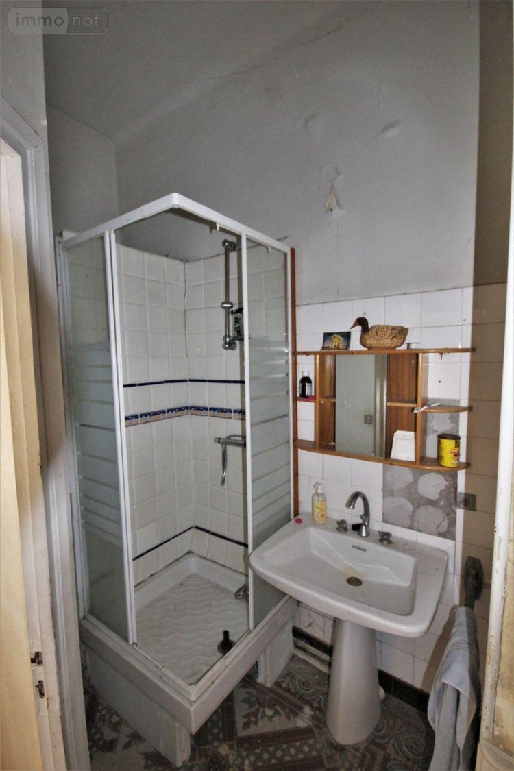 Maison a vendre Graulhet 81300 Tarn 350 m2 10 pièces 555000 euros