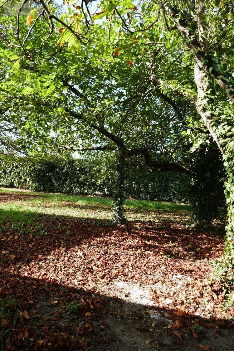 Maison a vendre La Pérouille 36350 Indre 257 m2 6 pièces 121900 euros