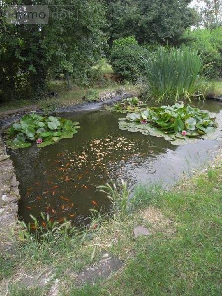 Viager maison Le Gua 17600 Charente-Maritime 160 m2 6 pièces 60000 euros