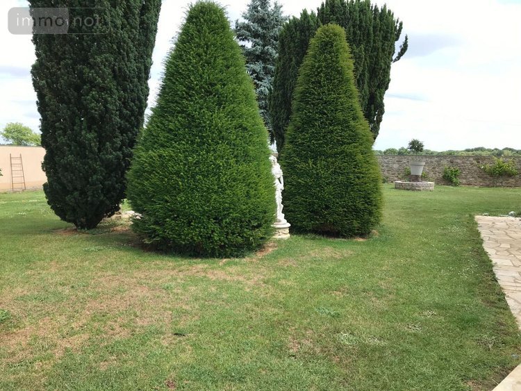 propriete a vendre Sargé-lès-le-Mans 72190 Sarthe 360 m2 6 pièces 360500 euros