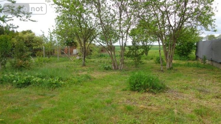 Location maison Suèvres 41500 Loir-et-Cher 41 m2 2 pièces 427 euros