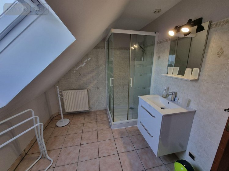 Maison a vendre Pruniers-en-Sologne 41200 Loir-et-Cher 165 m2 6 pièces 368900 euros