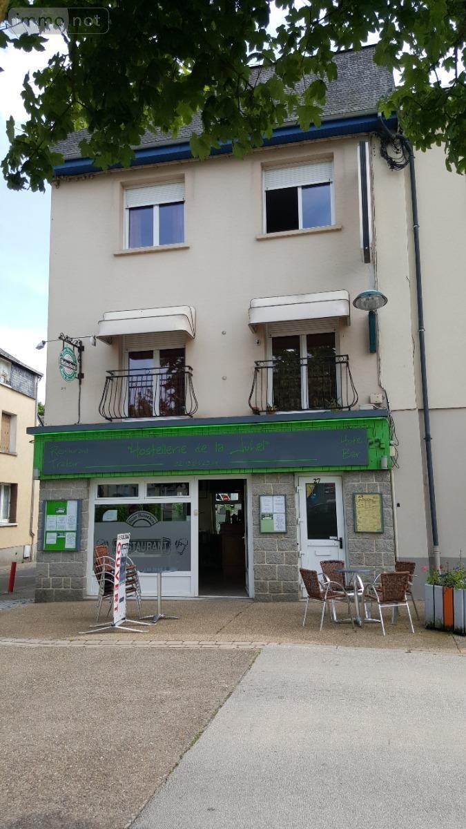 Fonds et murs commerciaux a vendre Villaines-la-Juhel 53700 Mayenne 240 m2  167380 euros