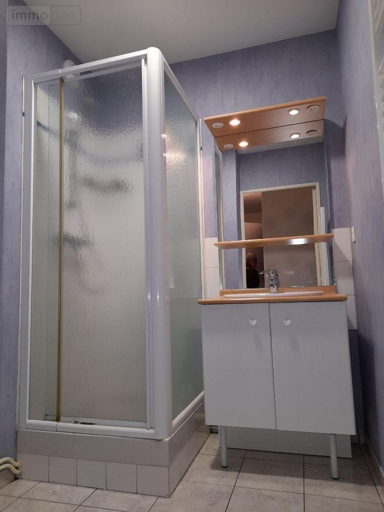Location appartement Rennes 35000 Ille-et-Vilaine 47 m2 2 pièces 660 euros