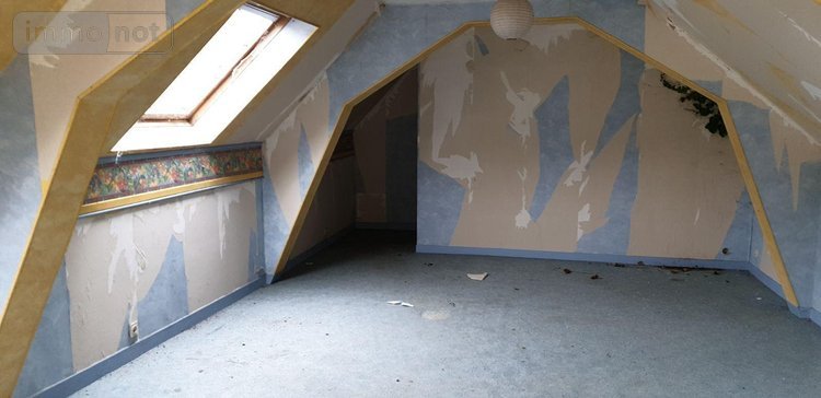 Maison a vendre Thoiré-sur-Dinan 72500 Sarthe 4 pièces 38000 euros