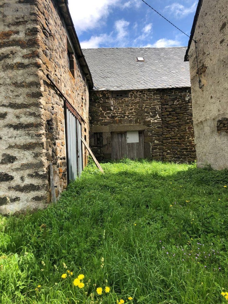 Maison a vendre Peyrusse 15170 Cantal  28000 euros