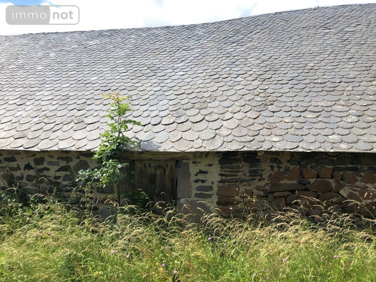 Maison a vendre Peyrusse 15170 Cantal  28000 euros