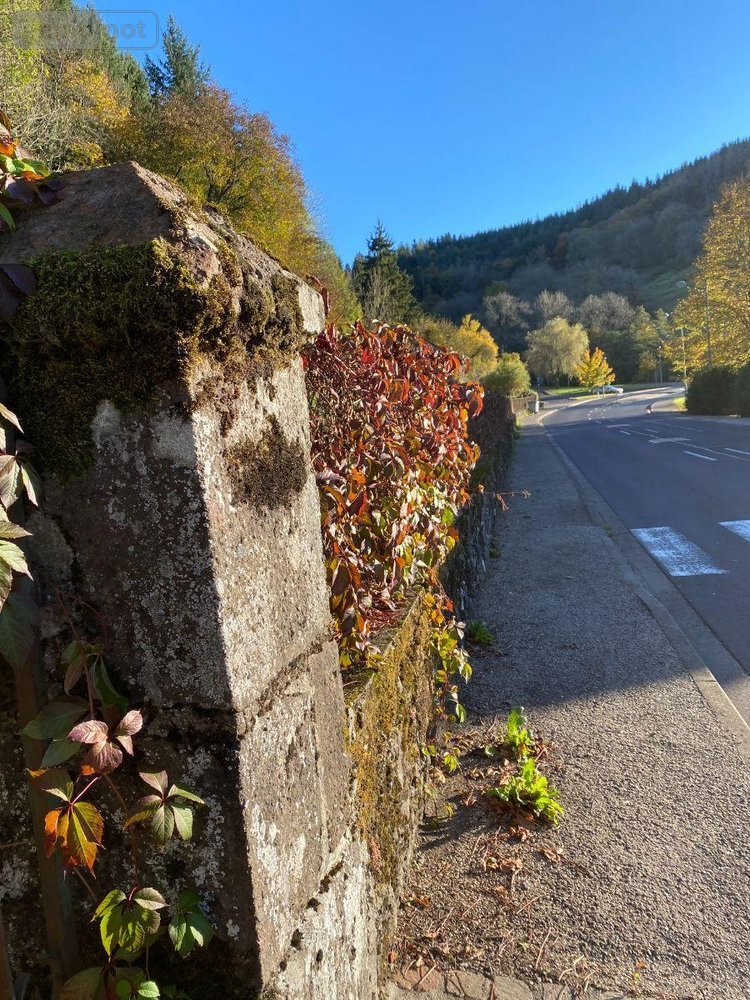 Terrain a batir a vendre Saint-Martin-Valmeroux 15140 Cantal 2500 m2  40280 euros