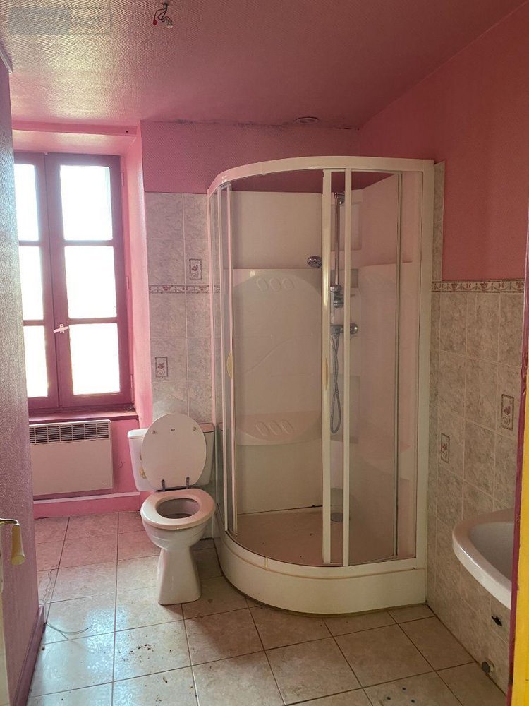 Immeuble a vendre Mauriac 15200 Cantal  100700 euros