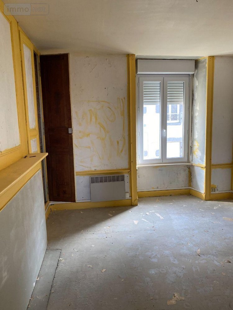 Immeuble a vendre Mauriac 15200 Cantal  100700 euros