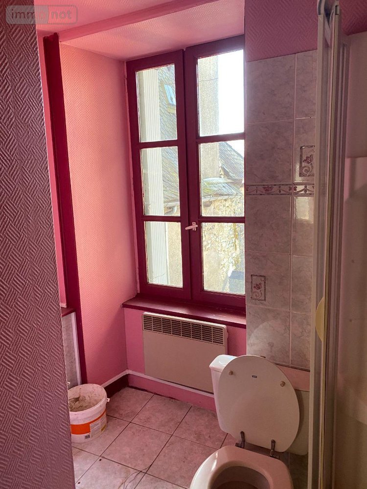 Immeuble a vendre Mauriac 15200 Cantal  100700 euros