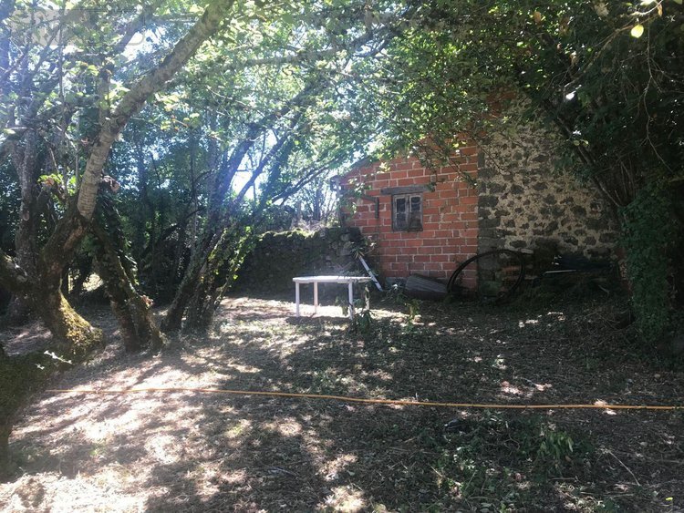 Bien agricole a vendre Anglards-de-Salers 15380 Cantal  29680 euros